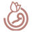 shape